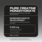 Usn Nutrition Pure Creatine (500 gr)